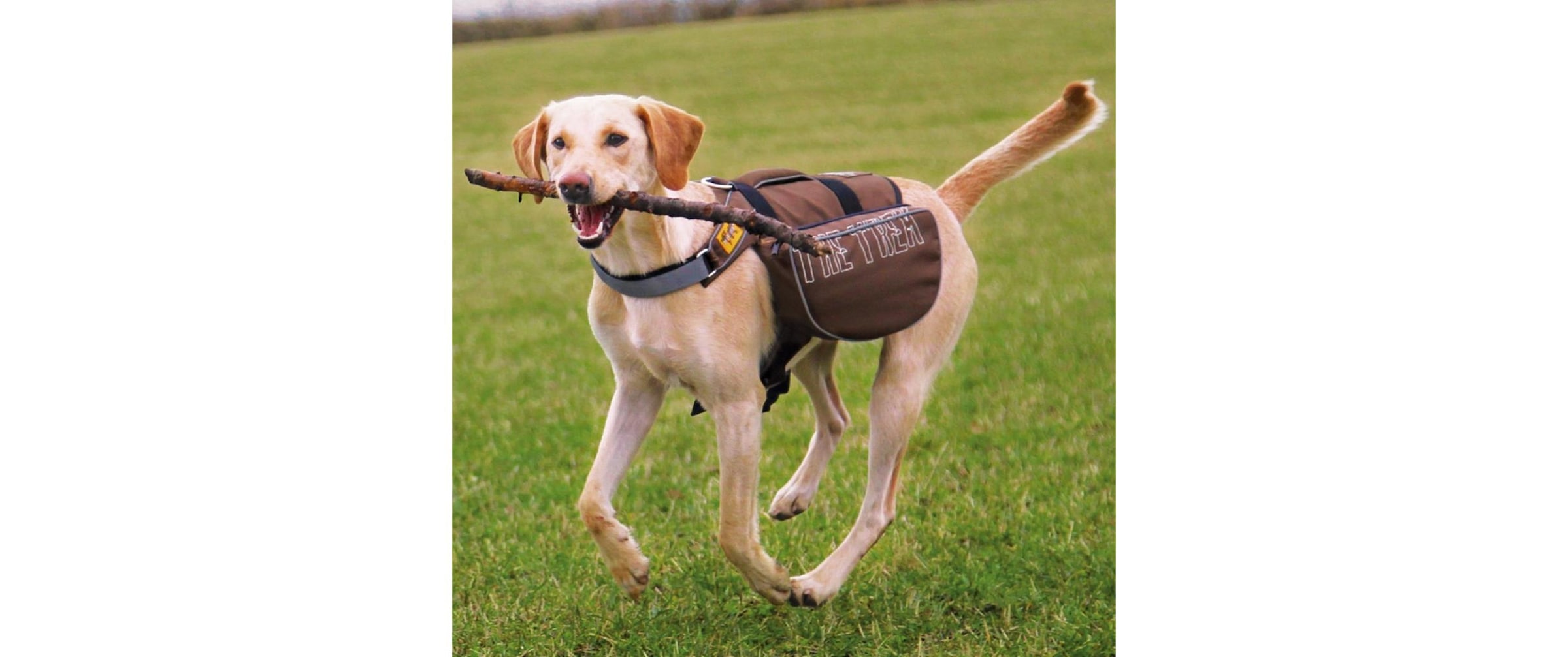 TRIXIE Tiertransporttasche »Willow Beige/Braun« bis 7 kg