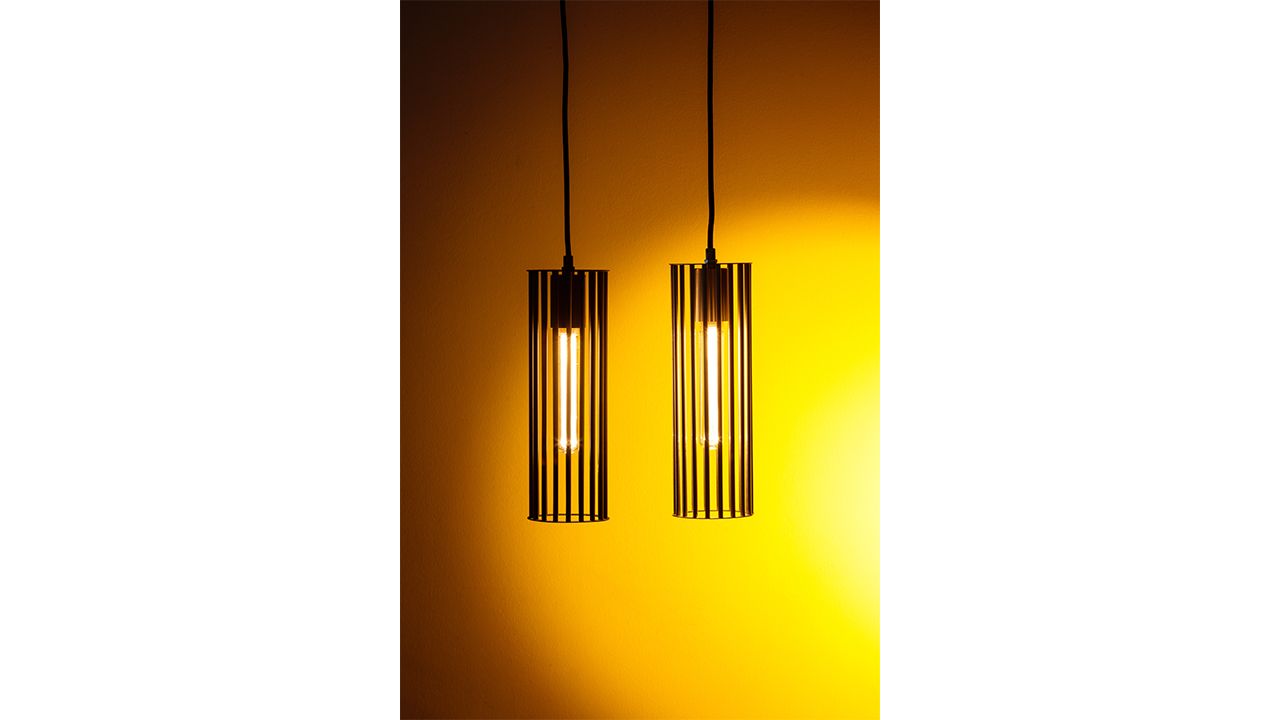 Hanglamp 05-HL4188-30 Birdy  | ETHB120 x D9.6 cm