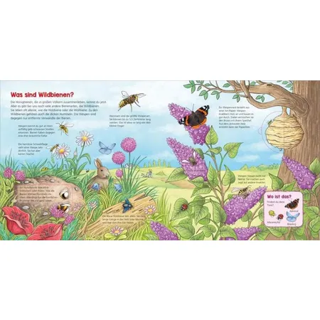 Tessloff WAS IST WAS Kindergarten Band 23. Entdecke die Bienen!