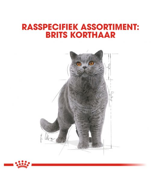 Royal Canin British Shorthair Adult Natvoer - Kattenvoer - 85 g