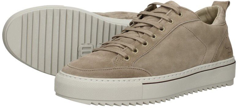 Rehab Crash Sue khaki