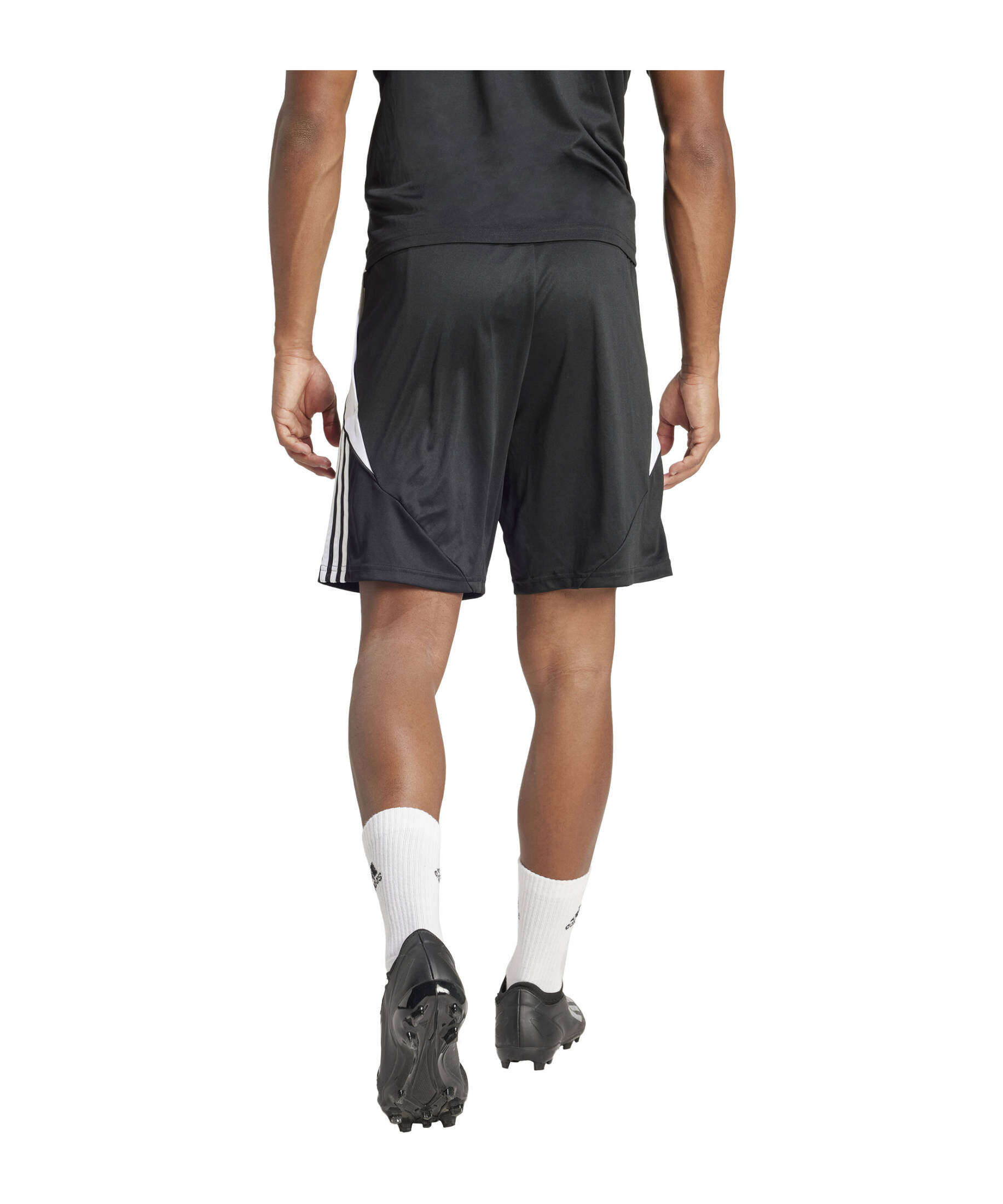 adidas Performance| Herren Shorts Tiro 24