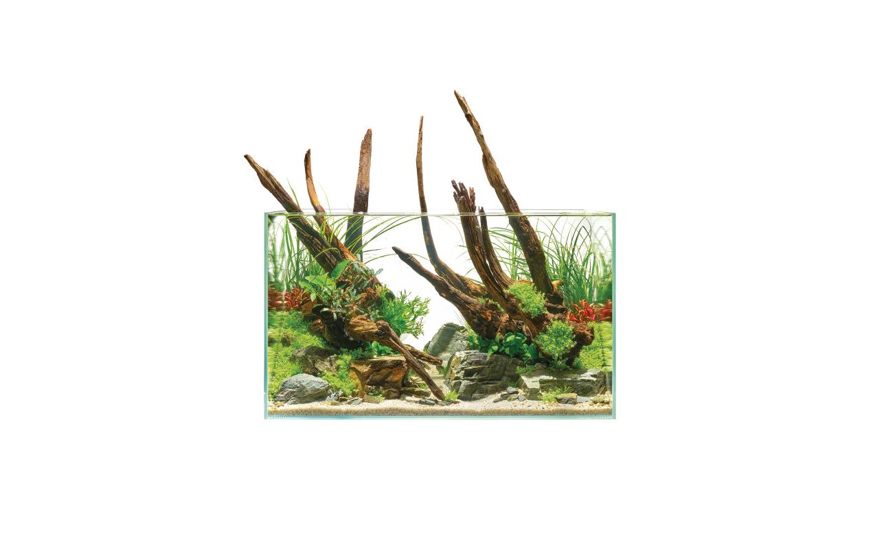 Aquarium ScaperLine 60, 75 l<br>ScaperLine Aquarien aus Optiwhite-Glas