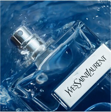Y Eau De Toilette  Fougère - Absolu De Géranium