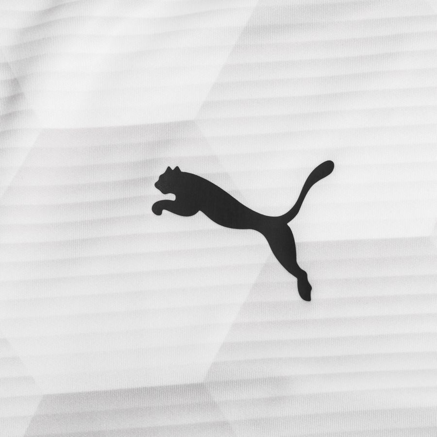 PUMA Maillot teamFINAL 21 Graphic - Blanc/Gris Enfant