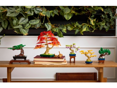 LEGO Mini bonsaiboompjes (10373)