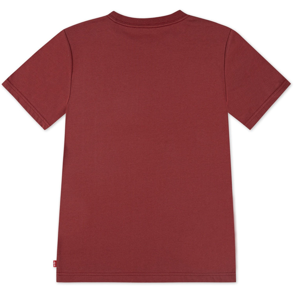 Køb Levi's Red Pear Batwing Chest Hit