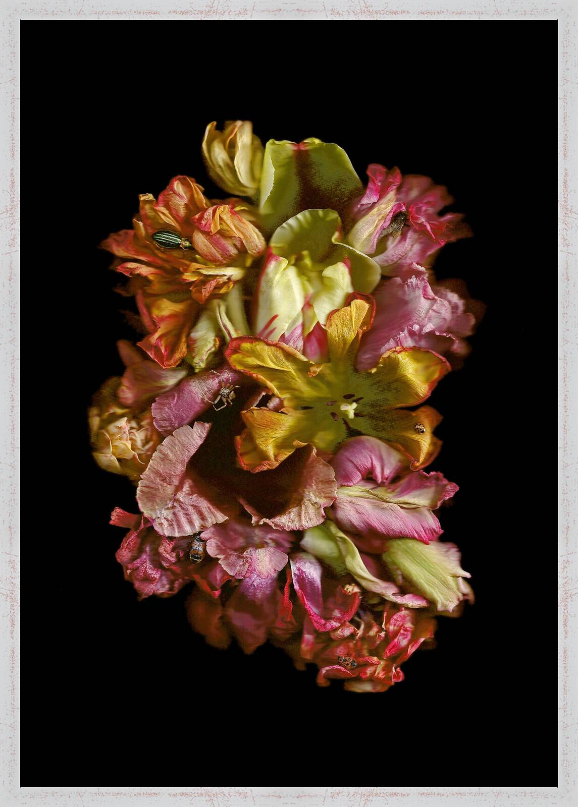 Vanitas I by Annet van der Voort - Limited Edition. Edition of: 100. Signed.