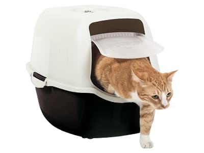 Rotho Bailey, katt, søppelkasse med hette, svart, hvit, spenne, karbonfiber, 560 mm