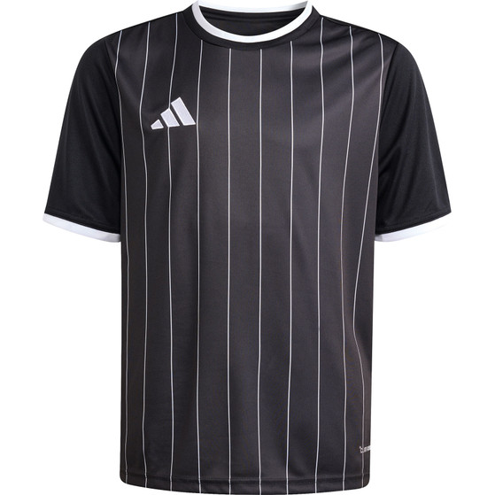 adidas Entrada 26 GFX Trainingsset
