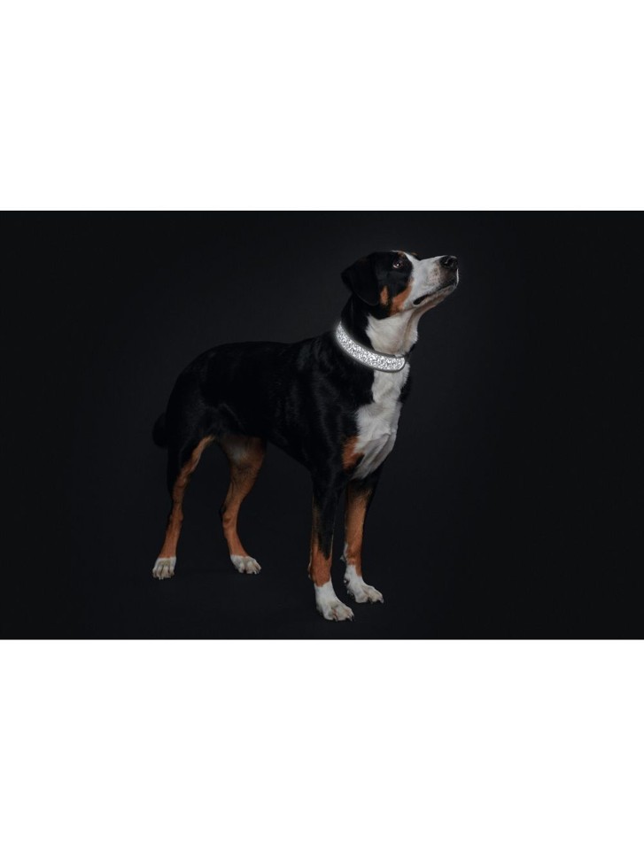 Hunter - Hundehalsbånd Divo Reflect XL 55-65cm , Refleks
