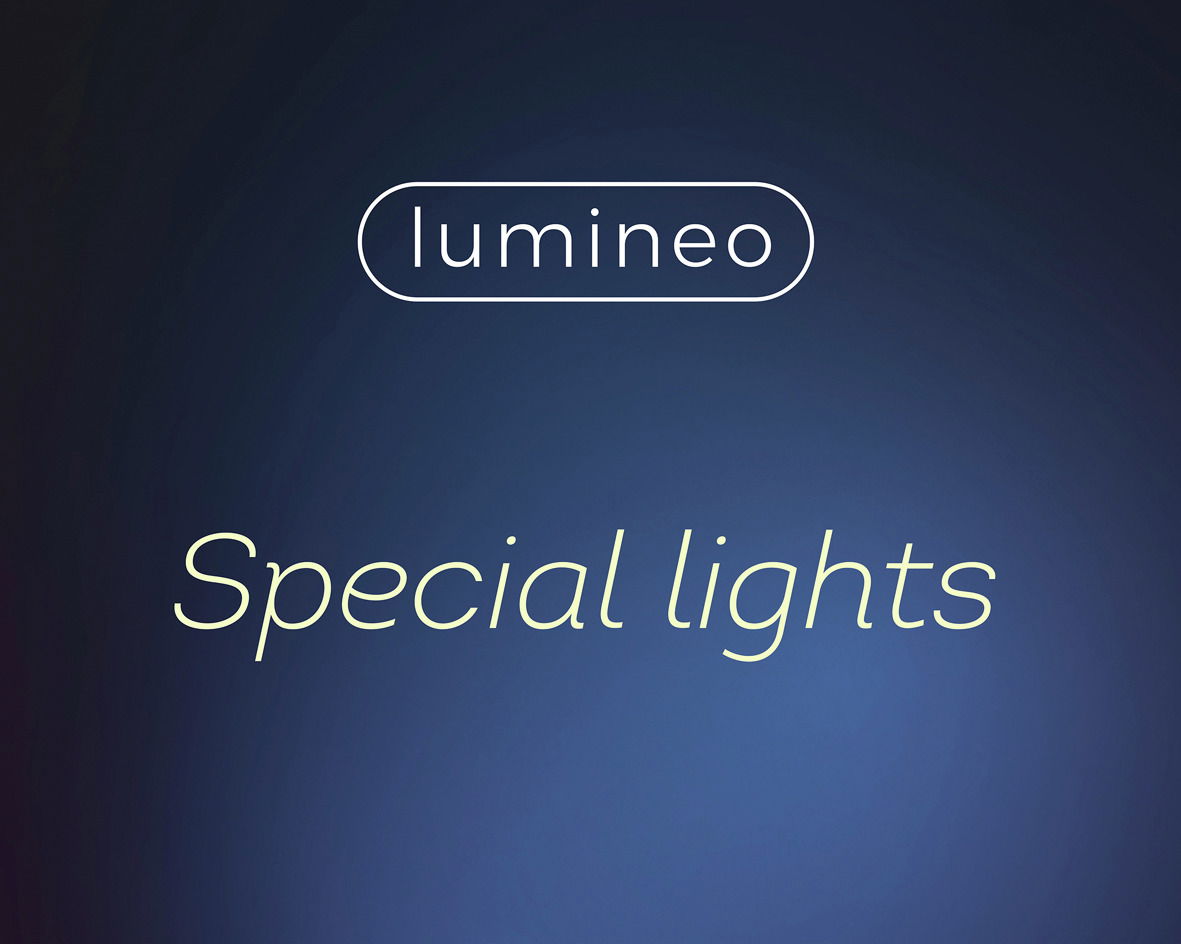 Lumineo LED Lichterketten Beleuchtung