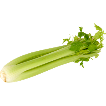 Jumbo Bleekselderij