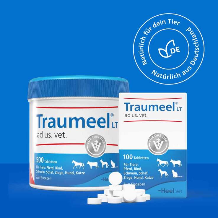 Traumeel LT ad us.vet.Tabletten, 100 St