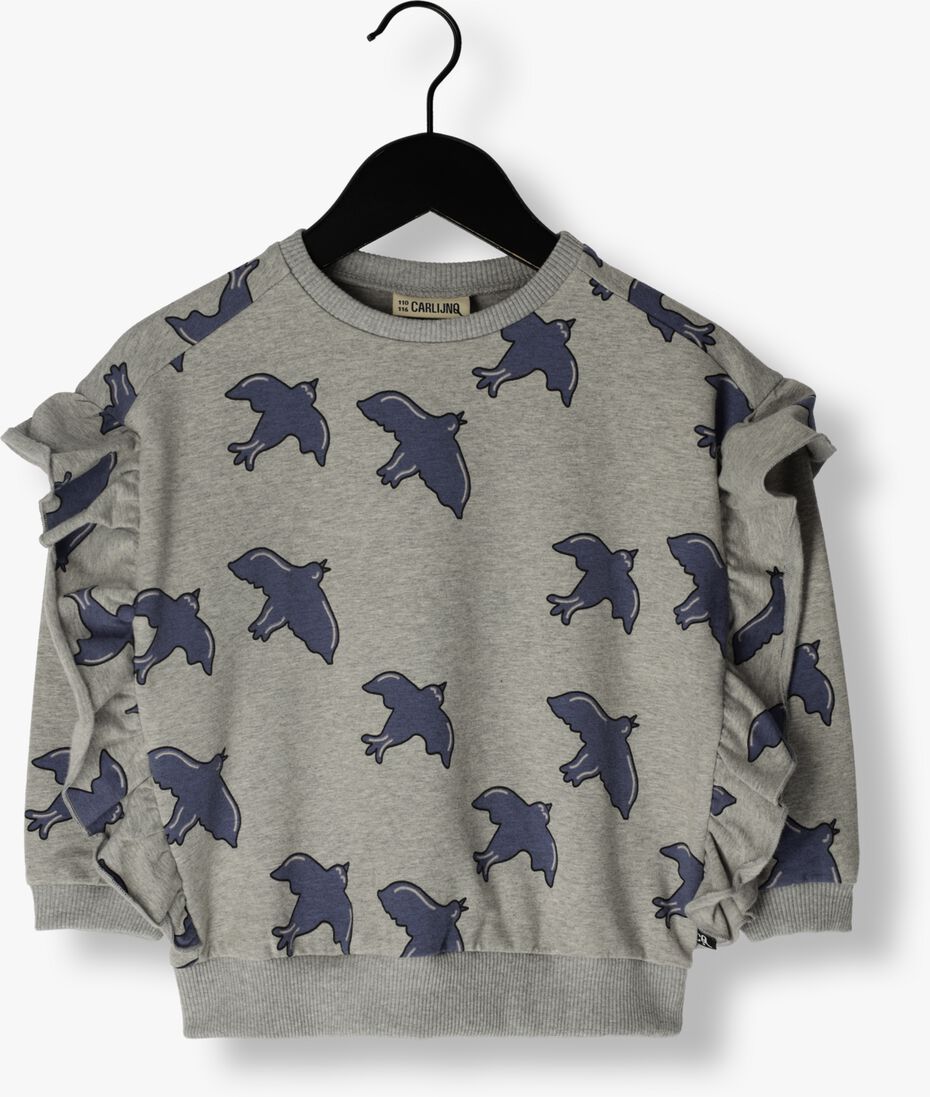 CARLIJNQ grijze carlijnq trui free like a bird - sweater ruffled