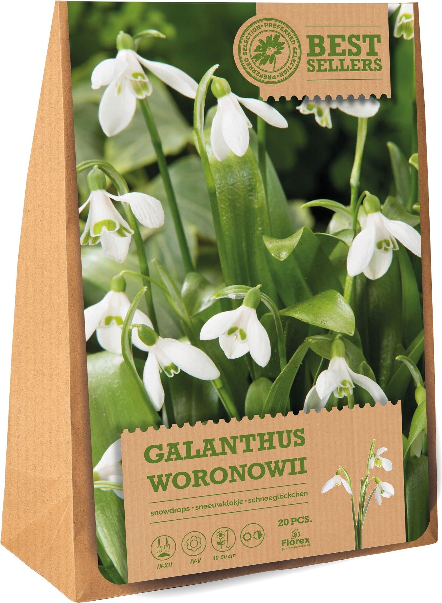 Florex bloembollen sneeuwklokje (Galanthus woronowii) 20 stuks