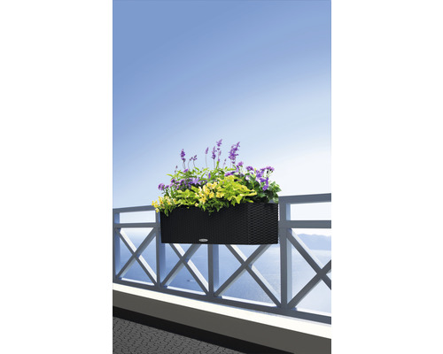 Lechuza Balconera Cottage 80 zwarte bloembak inclusief zelfbewateringssysteem