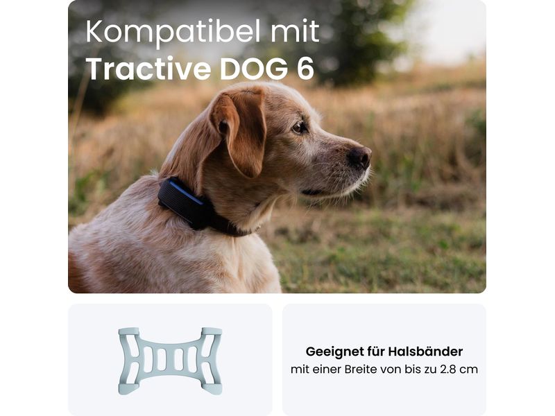 tractive GPS-Tracker Dog 6 Klammern mint 2 Stück Robuste Klammern für Hundehalsbänder