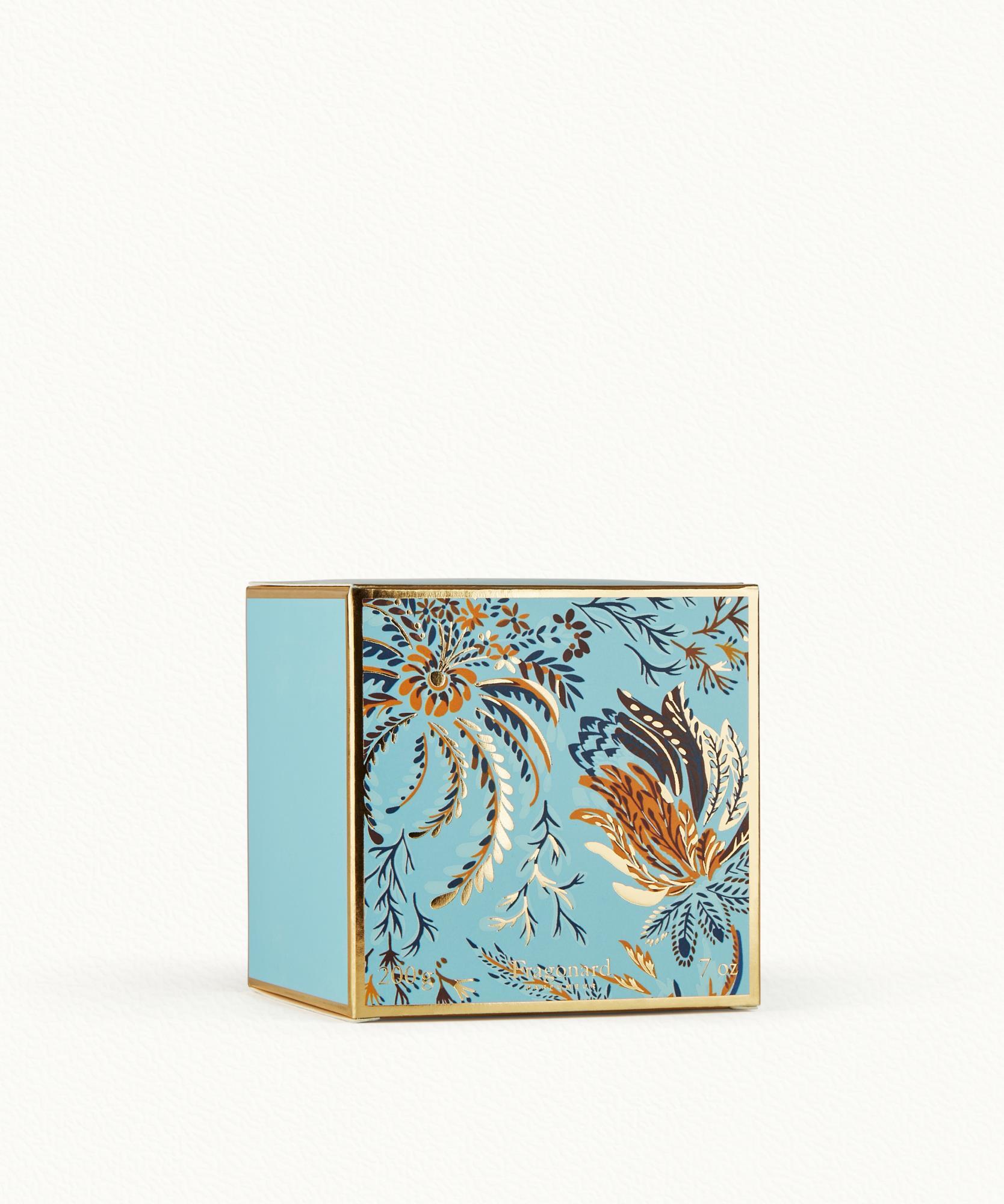 Anis Etoilé Lavande  Bougie - pot 200 g