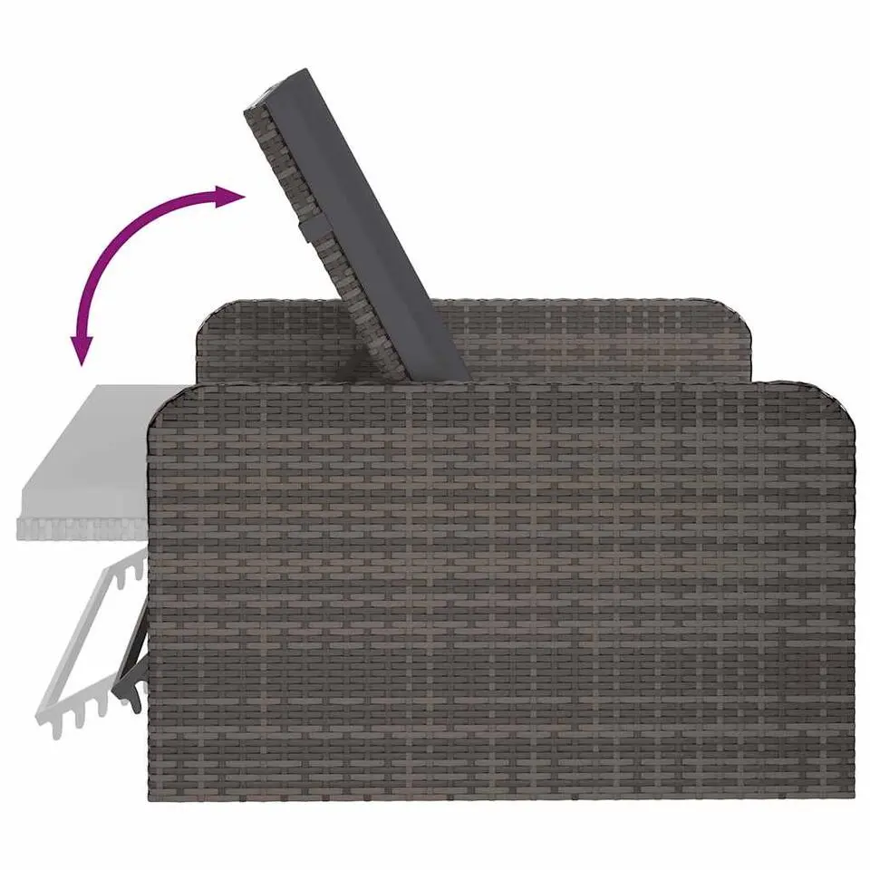 VIDAXL 2-delige Loungeset met kussens poly rattan grijs