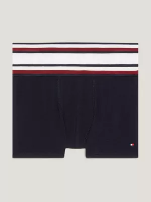 Conjunto de 2 calções de banho com bandeira Global Stripe