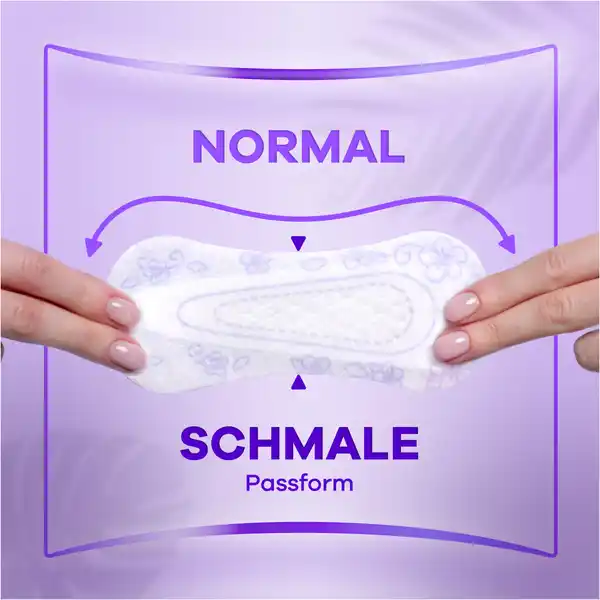 Daily Fresh Slipeinlagen Flexistyle Normal ohne Duft Big Pack