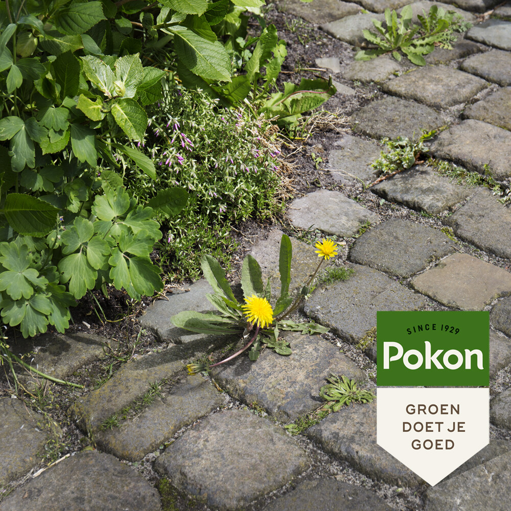 Pokon Tegen Onkruid Spray1 liter