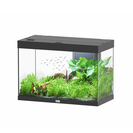 Aquarium équipé Splendid Led 2.0 Noir L.80xP.40xH.56cm