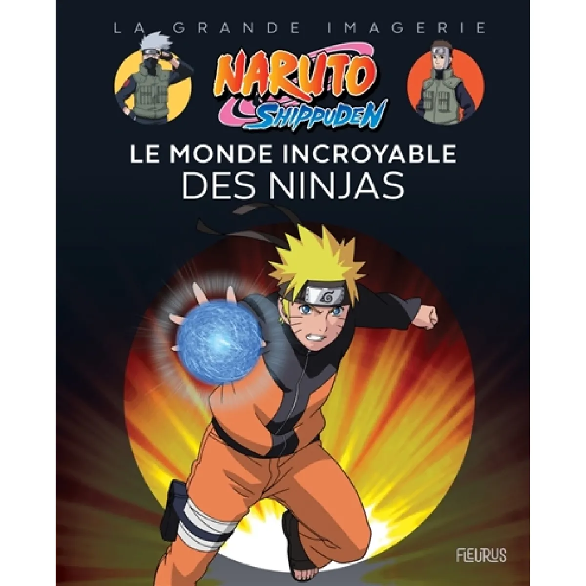 Naruto Shippuden : le monde incroyable des ninjas