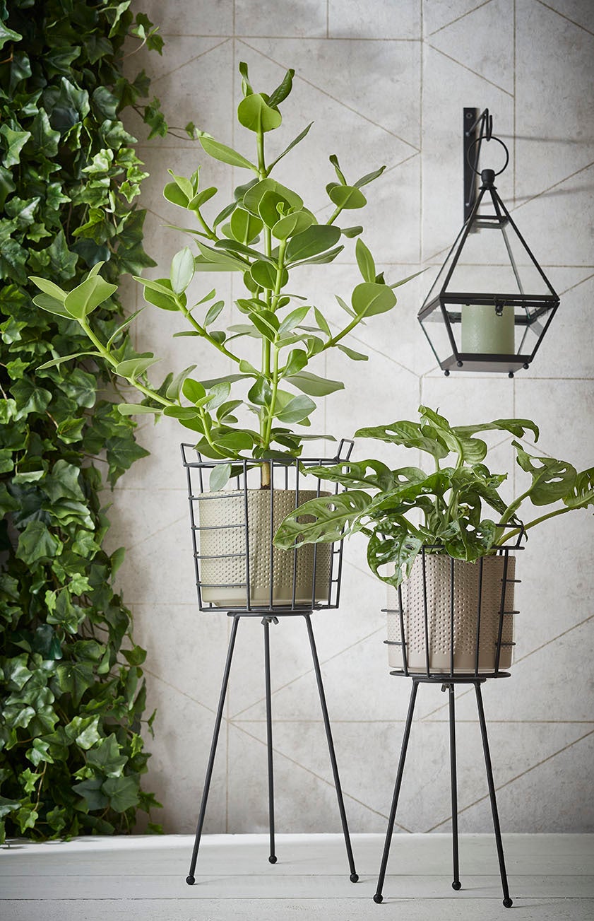 Mica Decorations bloempot Era groen D 19,5 H 17,5 cm