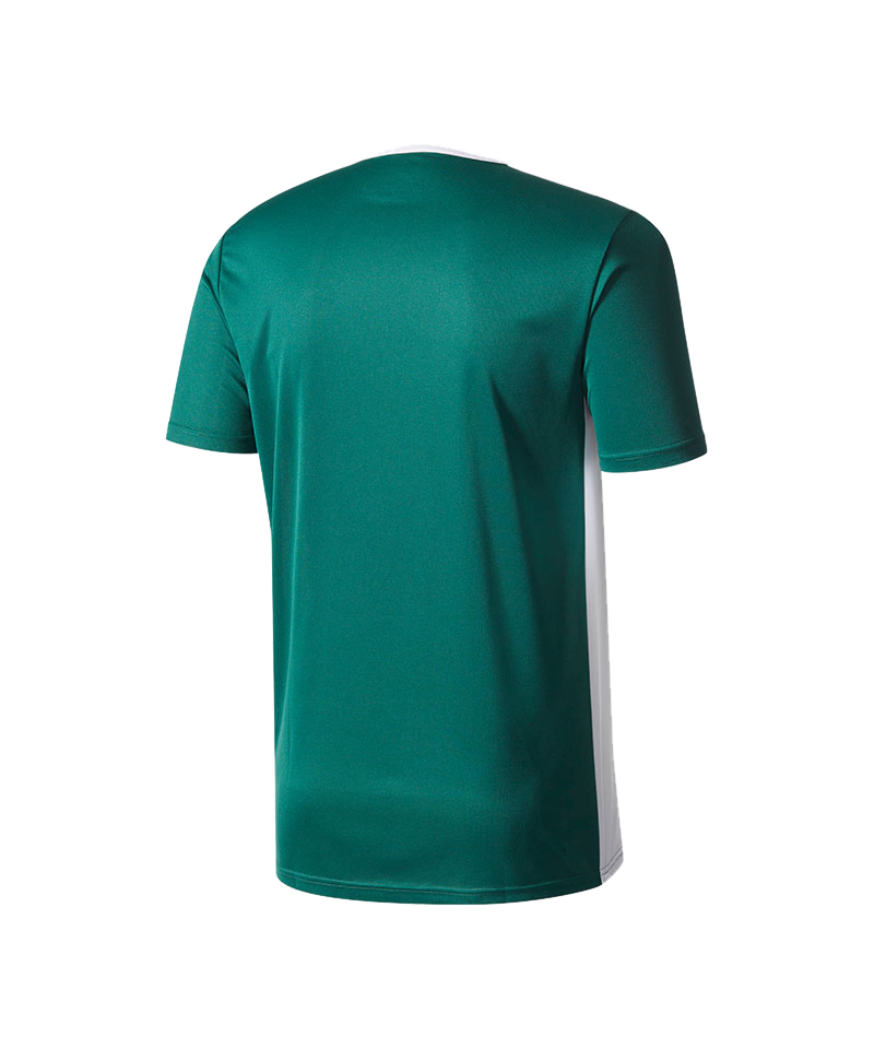 adidas Entrada 18 Trikot kurzarm Dunkelgrün