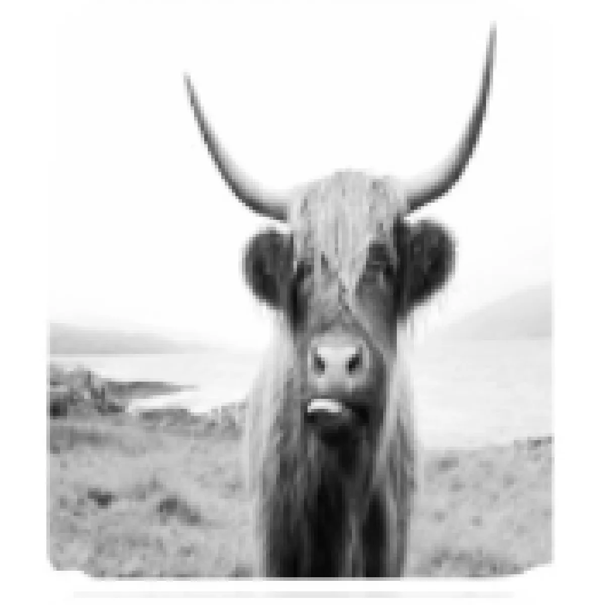 Universal Rideaux de douche Animaux 3D - 120x180 cm