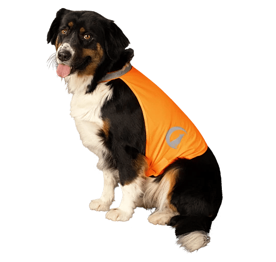 Nightwalk Safety Vest Dog | Oranje - Maat Large | 13404.2