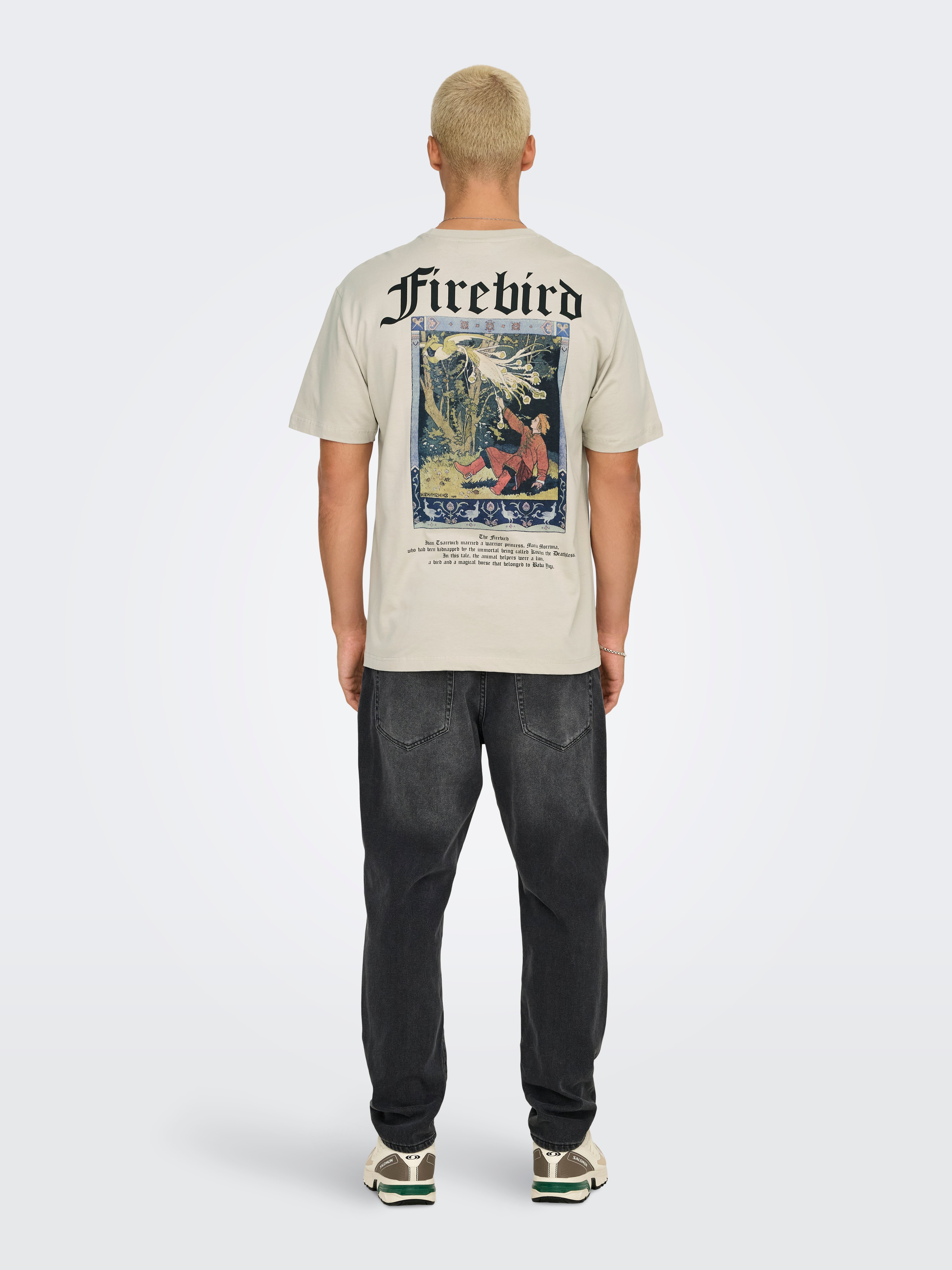 ONSKYLO T-shirt Silver Lining