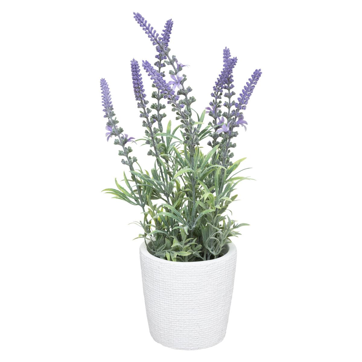 LAVANDE POT CIMENT H.36CM