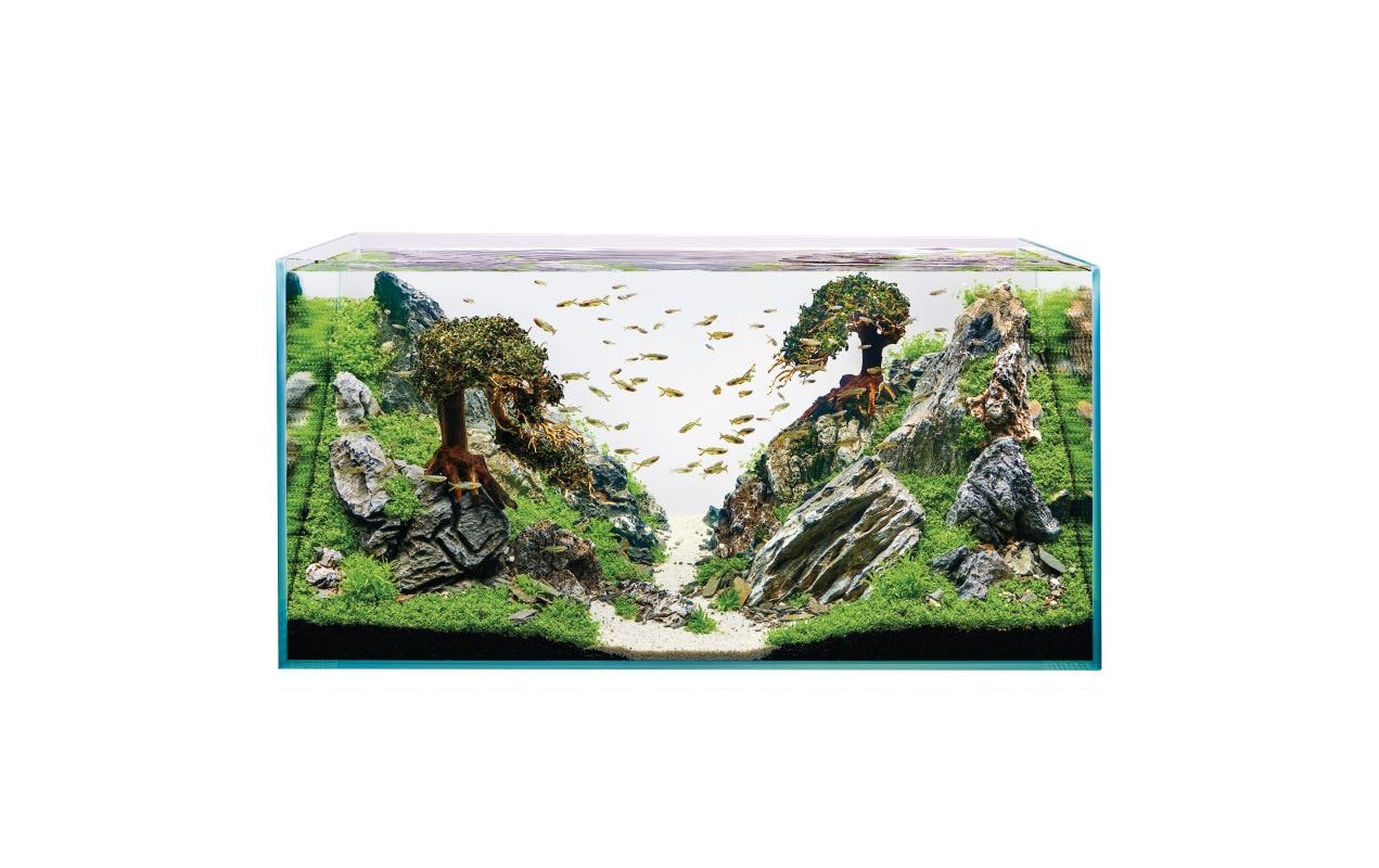 Aquarium ScaperLine 100, 250 l<br>ScaperLine Aquarien aus Optiwhite-Glas