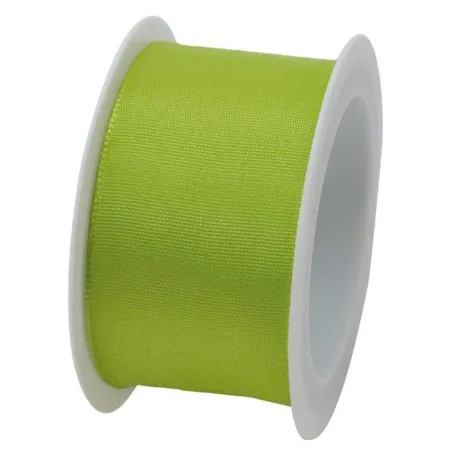 Braun & Company Band Draht 40mmx2m hellgrün