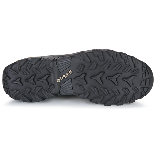 Columbia - NEWTON RIDGE PLUS II SUEDE WP - Marron