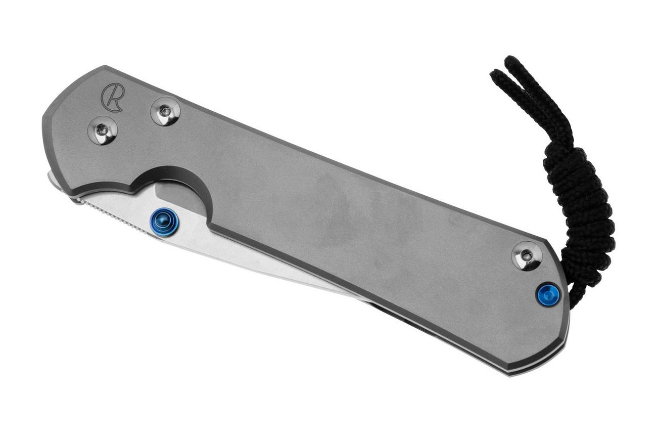 Chris Reeve Large Sebenza 31 MagnaCut Drop Point, Glass Blasted L31-1644, zakmes