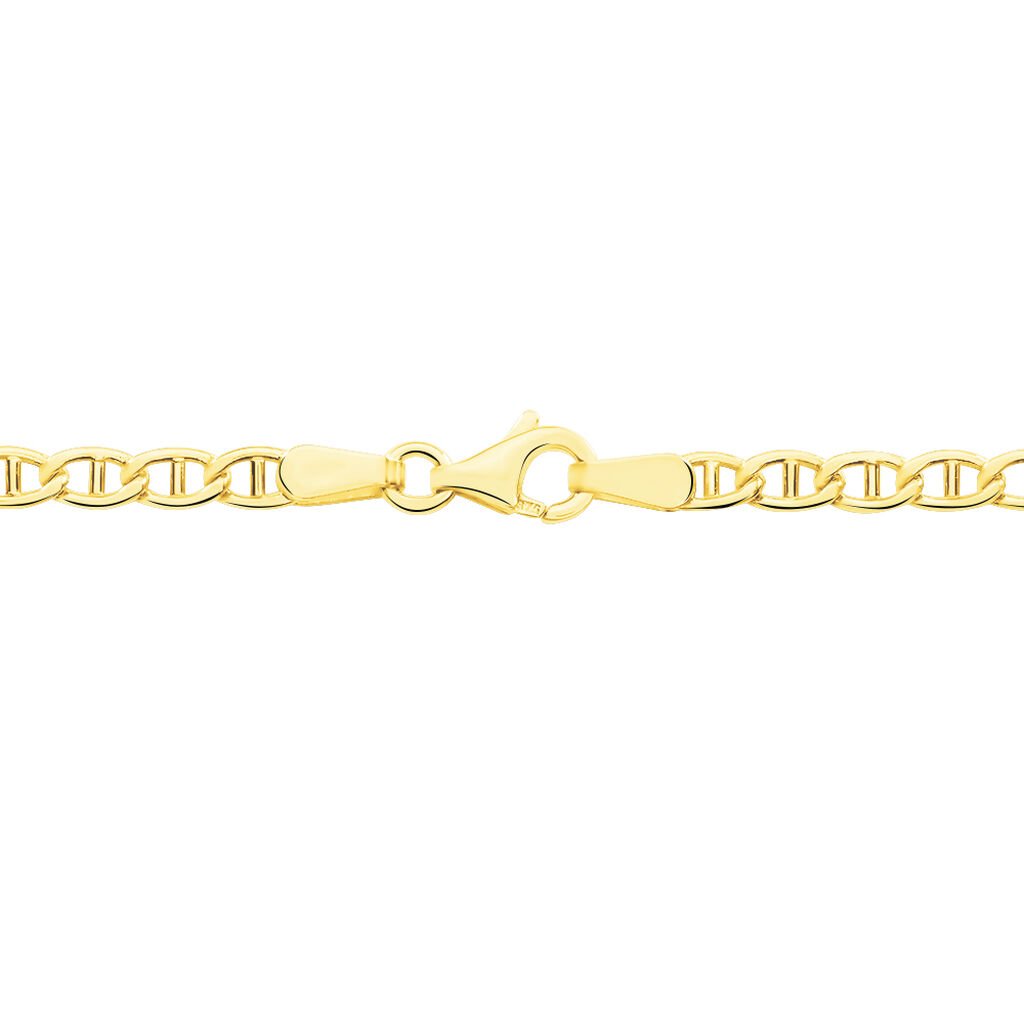 Chaîne Ovale Maille Marine Ovale Or Jaune