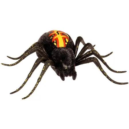 Boti Wild Pets Spinnenterarrium