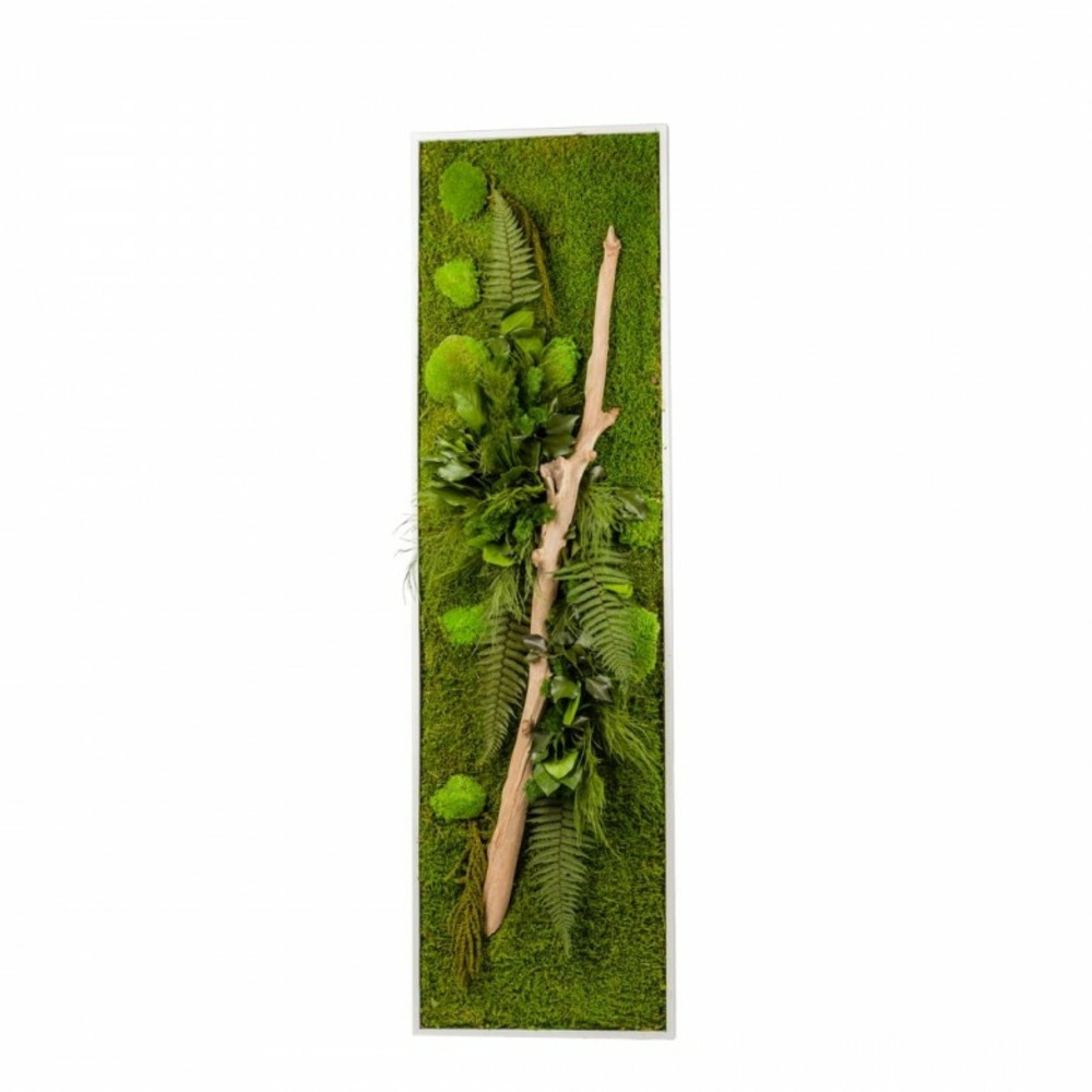 Stab nature - cadre blanc - panoramic xl 40x140