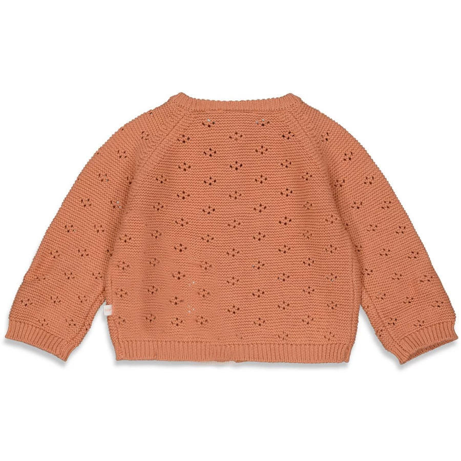 Feetje Strickjacke Cherry Terra Pink