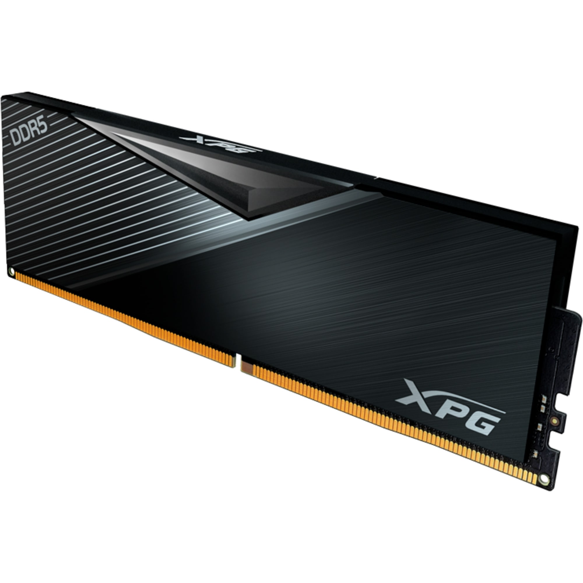 ADATA Arbeitsspeicher DIMM 32 GB DDR5-5600 (1x 32 GB)