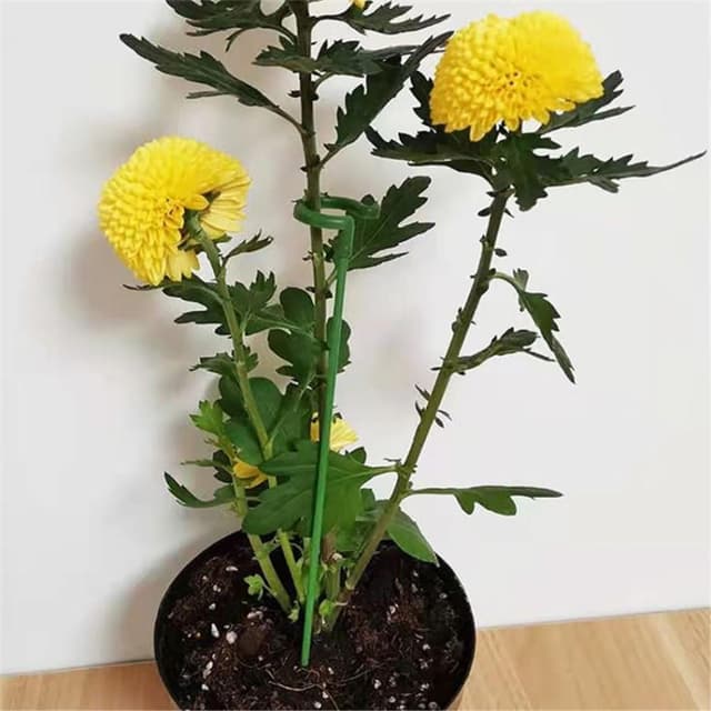 3STK 58CM Plantestøttepæl Blomsterstængelstøttepind