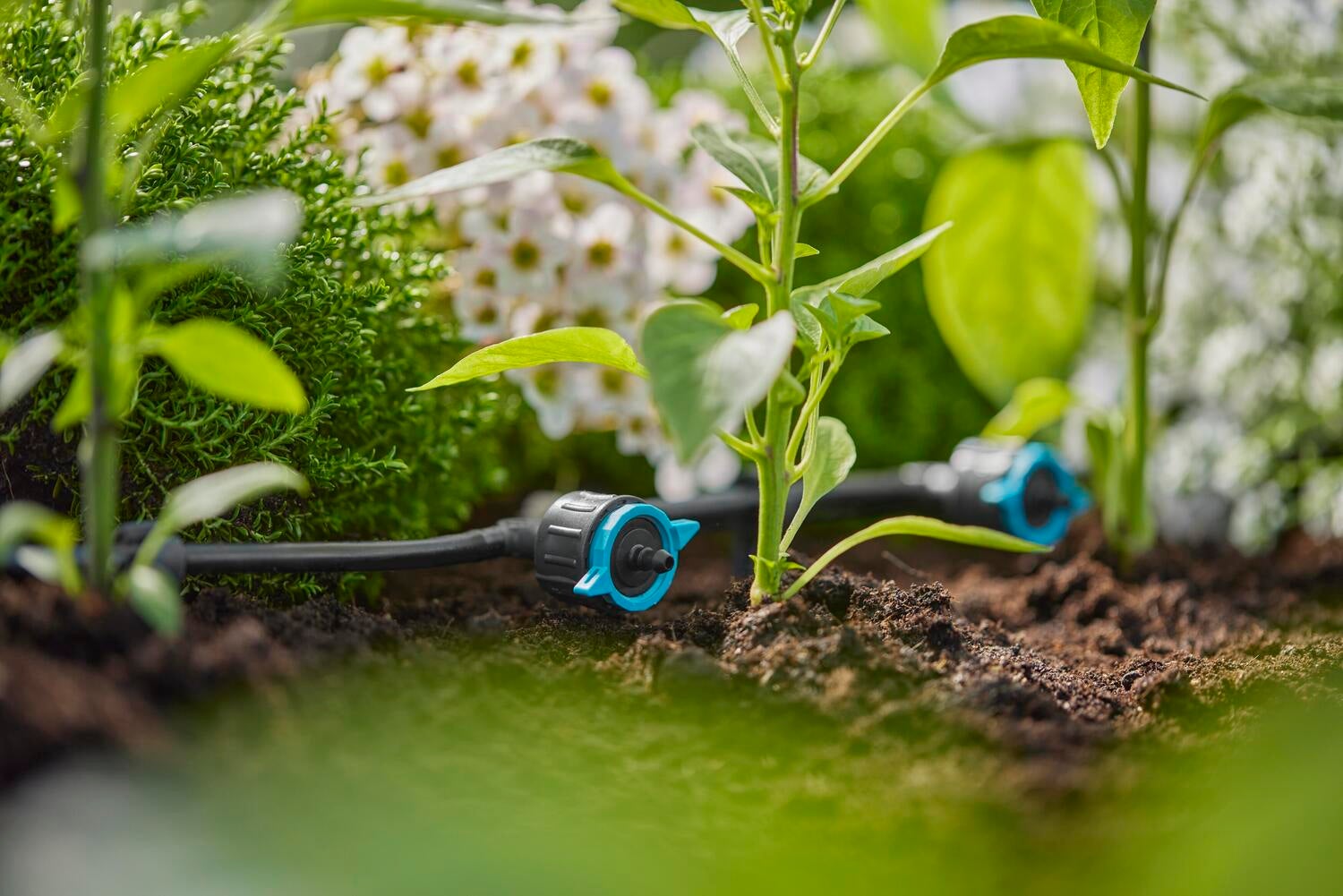 Gardena Micro Drip systeem verstelbare en drukcompenserende seriedruppelaar 1-8 L