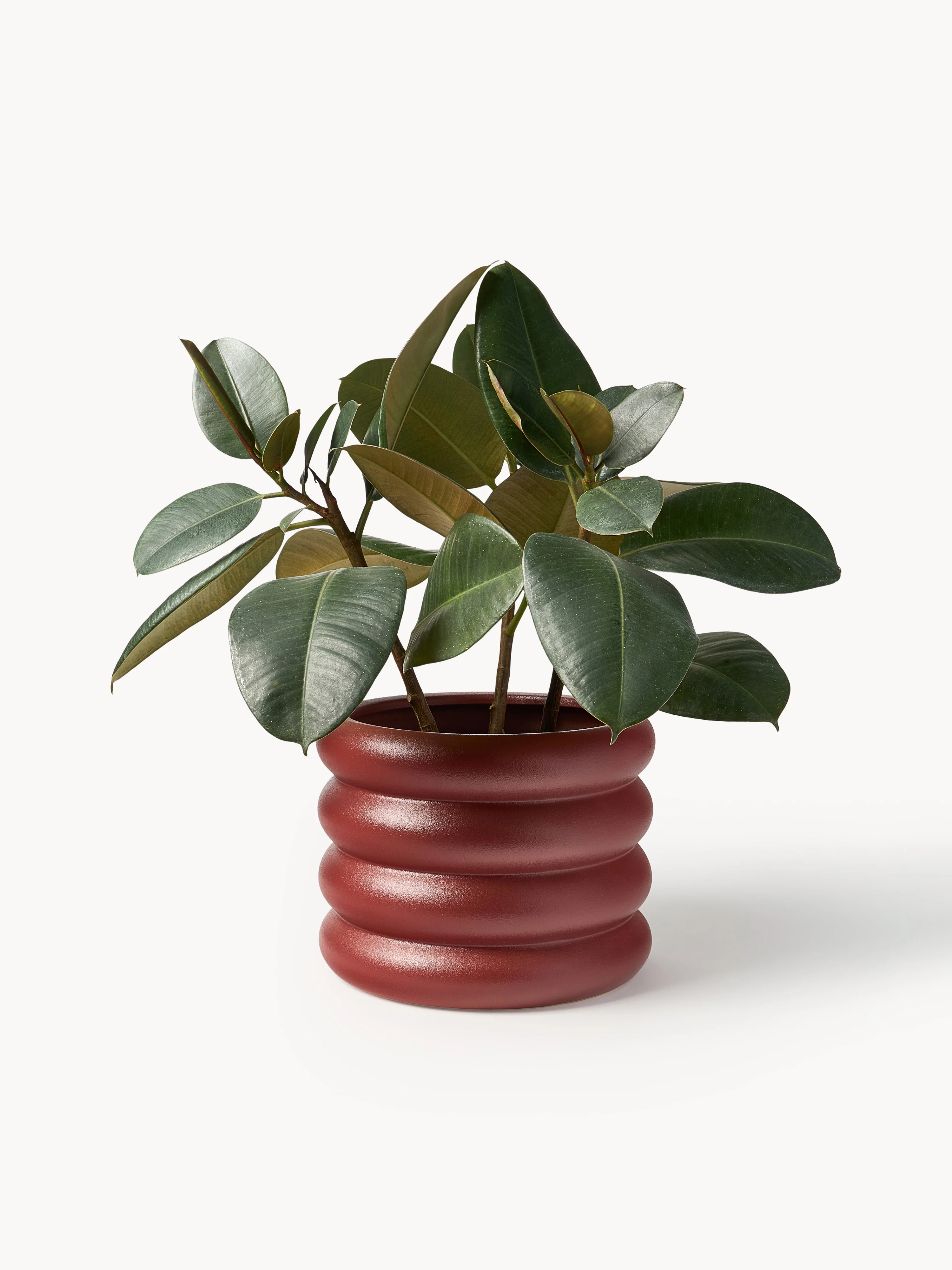 Plantenpot Rudi van keramiek, H 23 cm 10