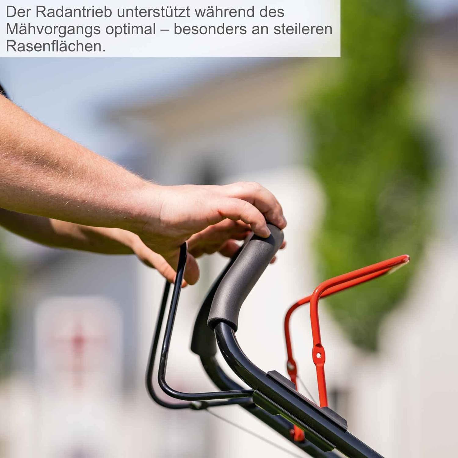 Scheppach Benzin Rasenmäher MS230-53 mit Radantrieb | 53cm Schnittbreite | 65L Fangbox | Höhenverstellung 7 Stufen | Seitenauswurf & Reinigungsfunktion | Mulchmäher | inkl. Motoröl