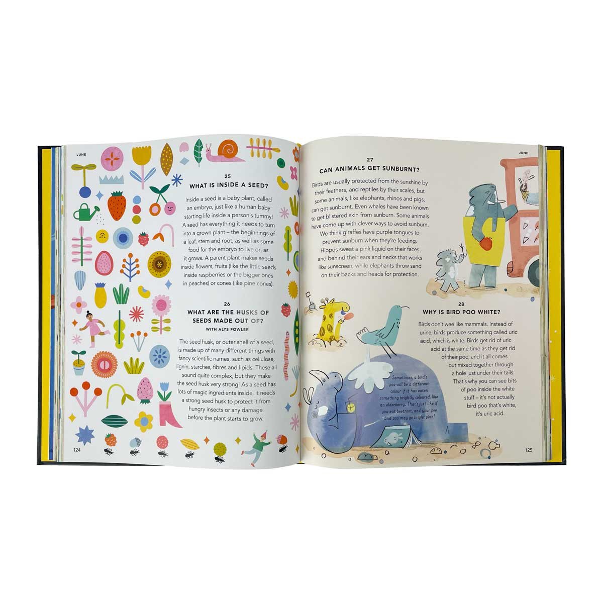 Everything Under the Sun (Hardback)