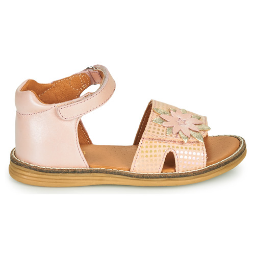 GBB - SATIA - Rose